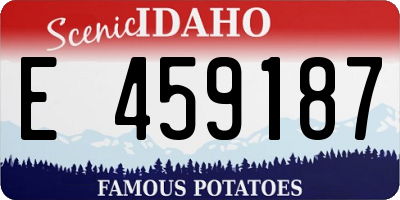 ID license plate E459187
