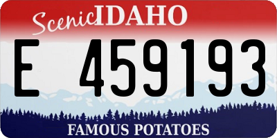 ID license plate E459193