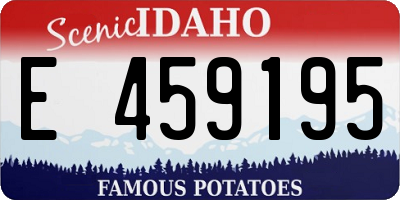ID license plate E459195