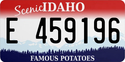 ID license plate E459196