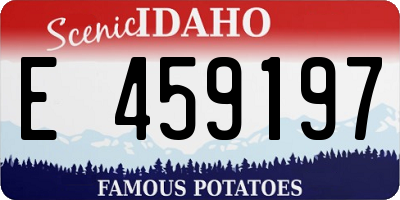 ID license plate E459197