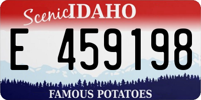 ID license plate E459198
