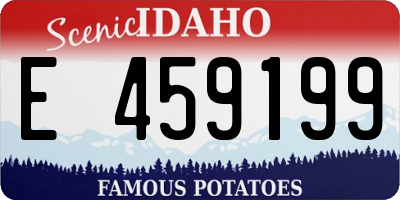 ID license plate E459199
