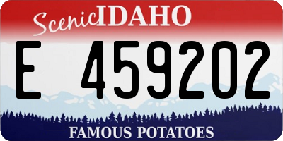 ID license plate E459202