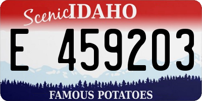 ID license plate E459203