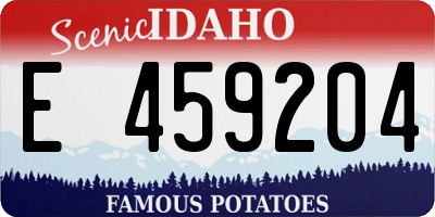 ID license plate E459204