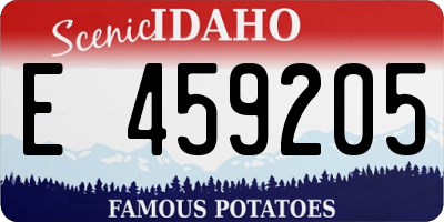 ID license plate E459205