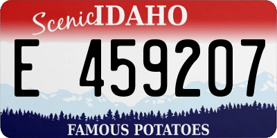 ID license plate E459207
