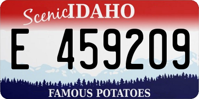 ID license plate E459209