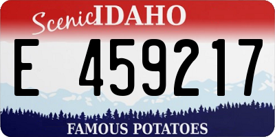 ID license plate E459217