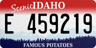 ID license plate E459219