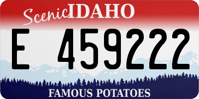 ID license plate E459222