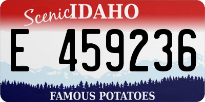 ID license plate E459236