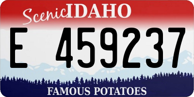 ID license plate E459237