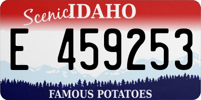 ID license plate E459253