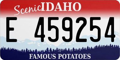 ID license plate E459254