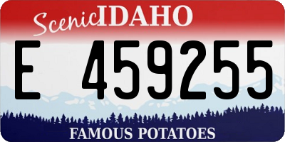 ID license plate E459255