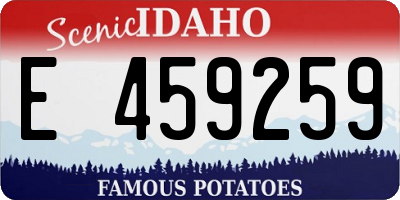 ID license plate E459259