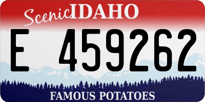 ID license plate E459262