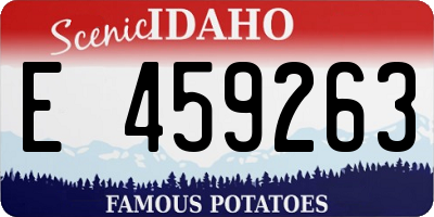 ID license plate E459263