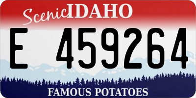 ID license plate E459264