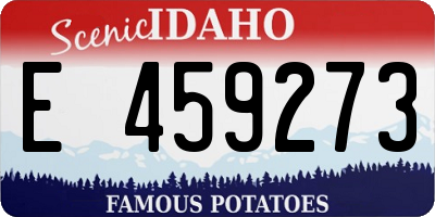 ID license plate E459273