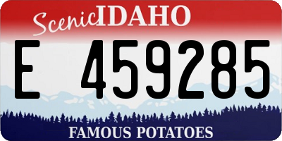 ID license plate E459285