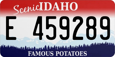 ID license plate E459289