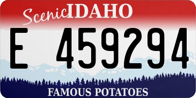 ID license plate E459294