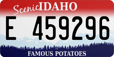 ID license plate E459296
