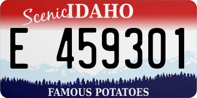ID license plate E459301