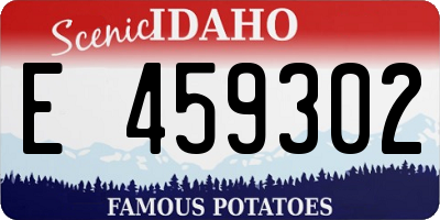 ID license plate E459302