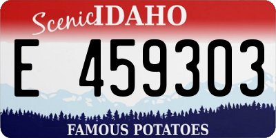 ID license plate E459303