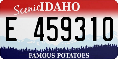 ID license plate E459310