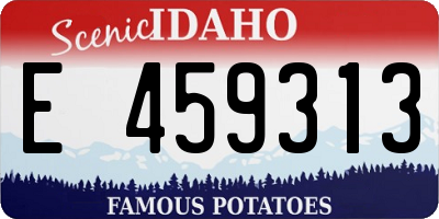 ID license plate E459313