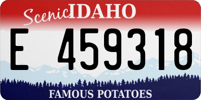 ID license plate E459318