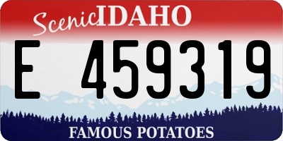 ID license plate E459319