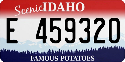 ID license plate E459320