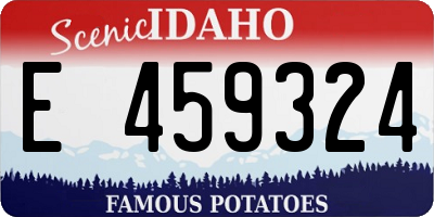 ID license plate E459324