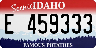 ID license plate E459333