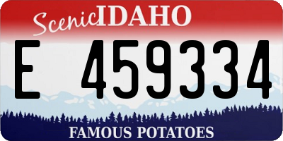 ID license plate E459334