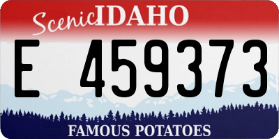 ID license plate E459373