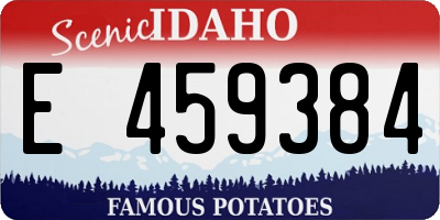 ID license plate E459384