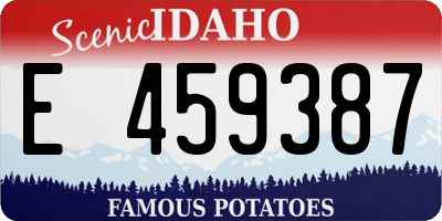 ID license plate E459387