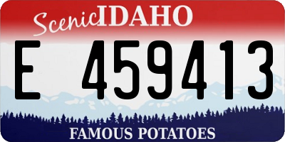 ID license plate E459413