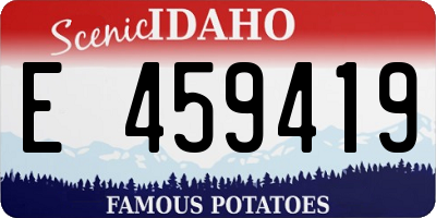 ID license plate E459419