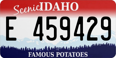 ID license plate E459429