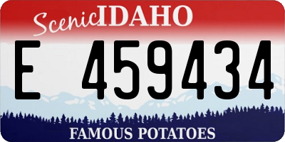 ID license plate E459434