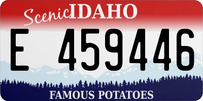 ID license plate E459446