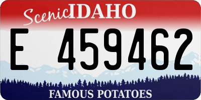 ID license plate E459462